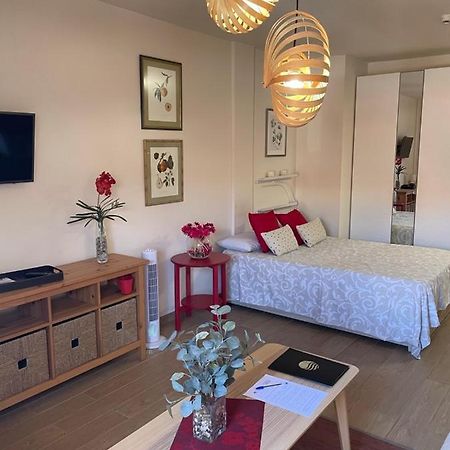 Apartamento Acogedor y Céntrico - Plaza del Charco Puerto de la Cruz (Tenerife) Exterior foto